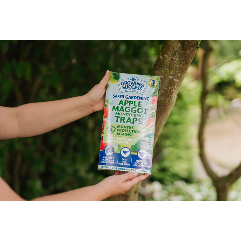 Growing Success Apple Maggot Monitoring Trap