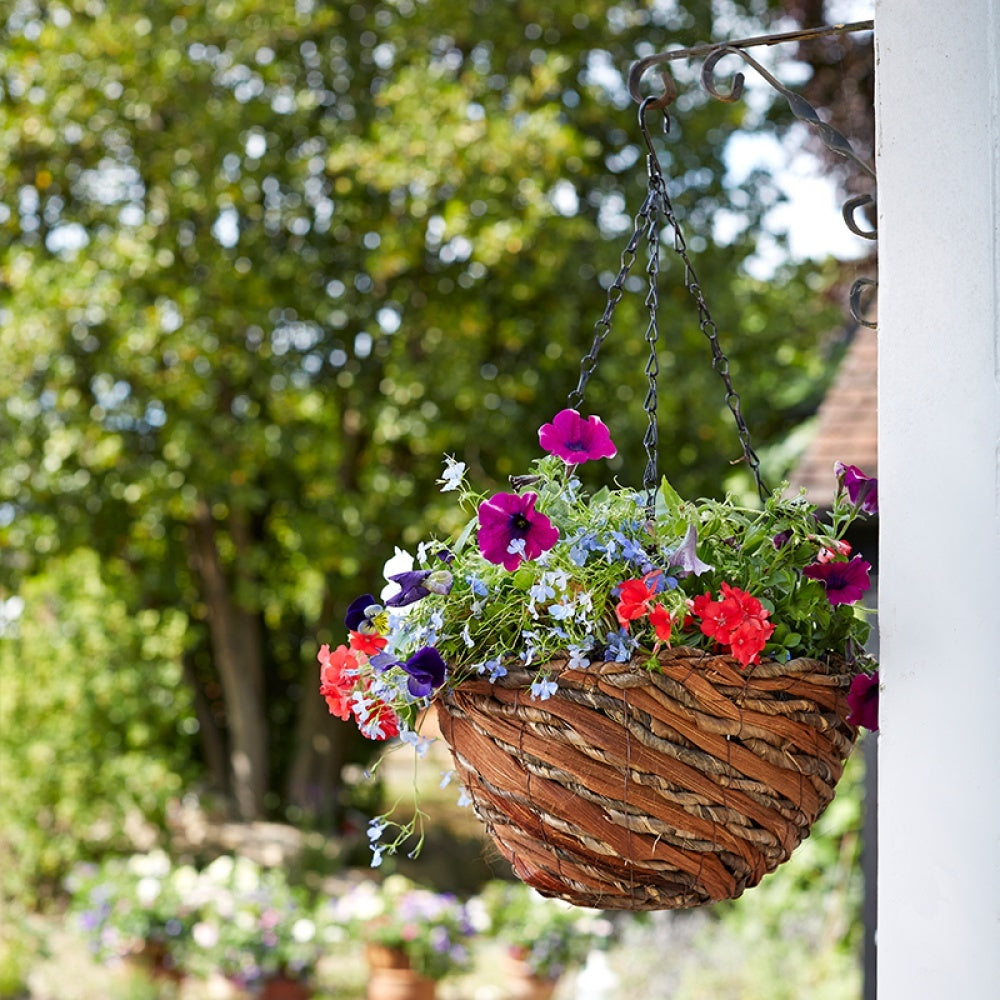 Smart Garden - 14in Rafiki Hanging Basket
