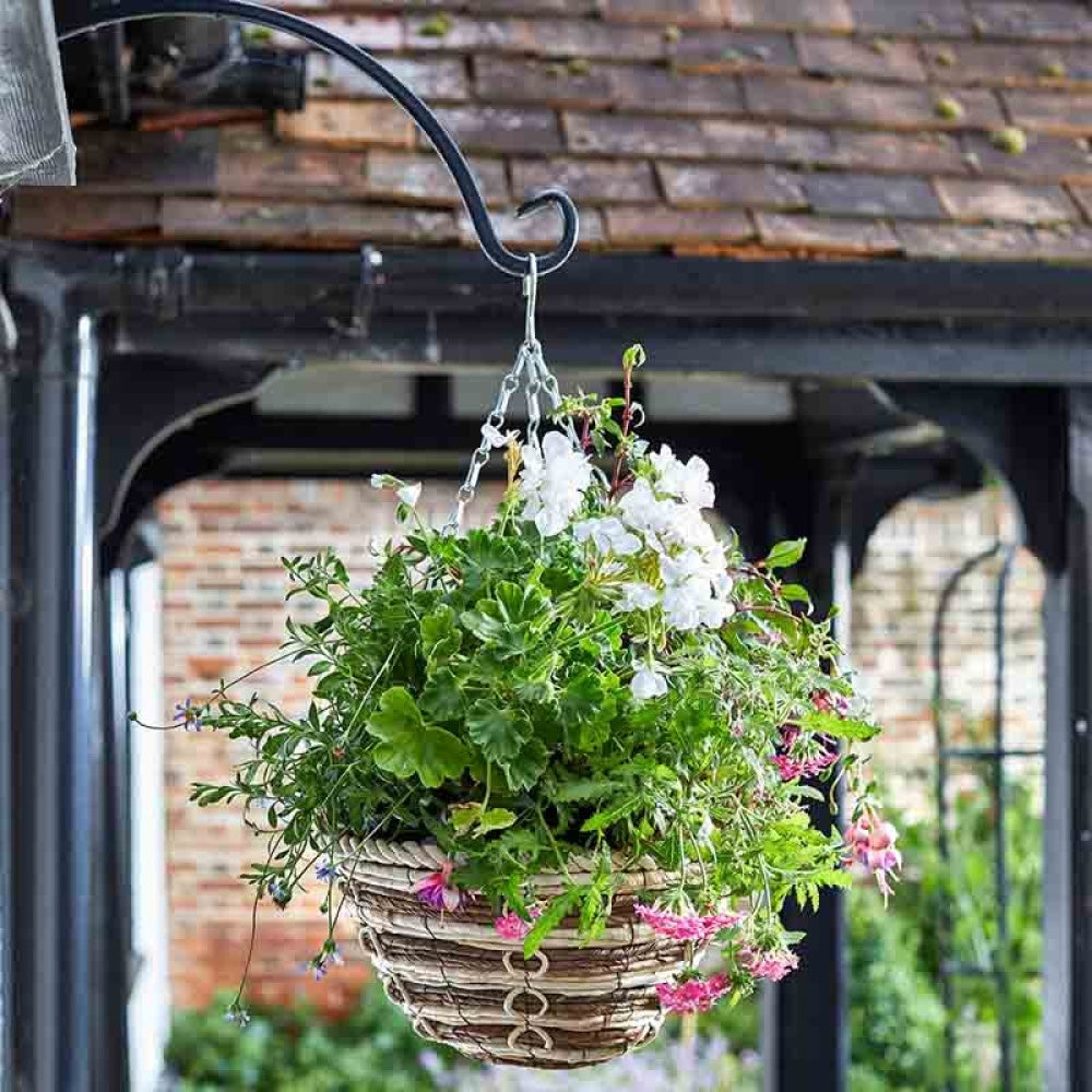 Smart Garden - 12in Cornrope Hanging Basket