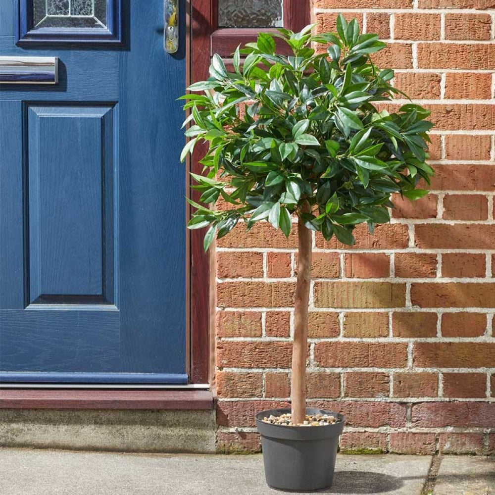 Faux Decor - Bay Tree