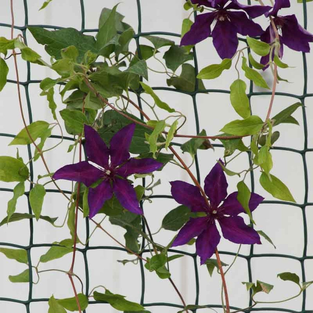 Smart Garden - Climbing Plant and Fencing Mesh β 50mm, 0.5m x 5m, Brown