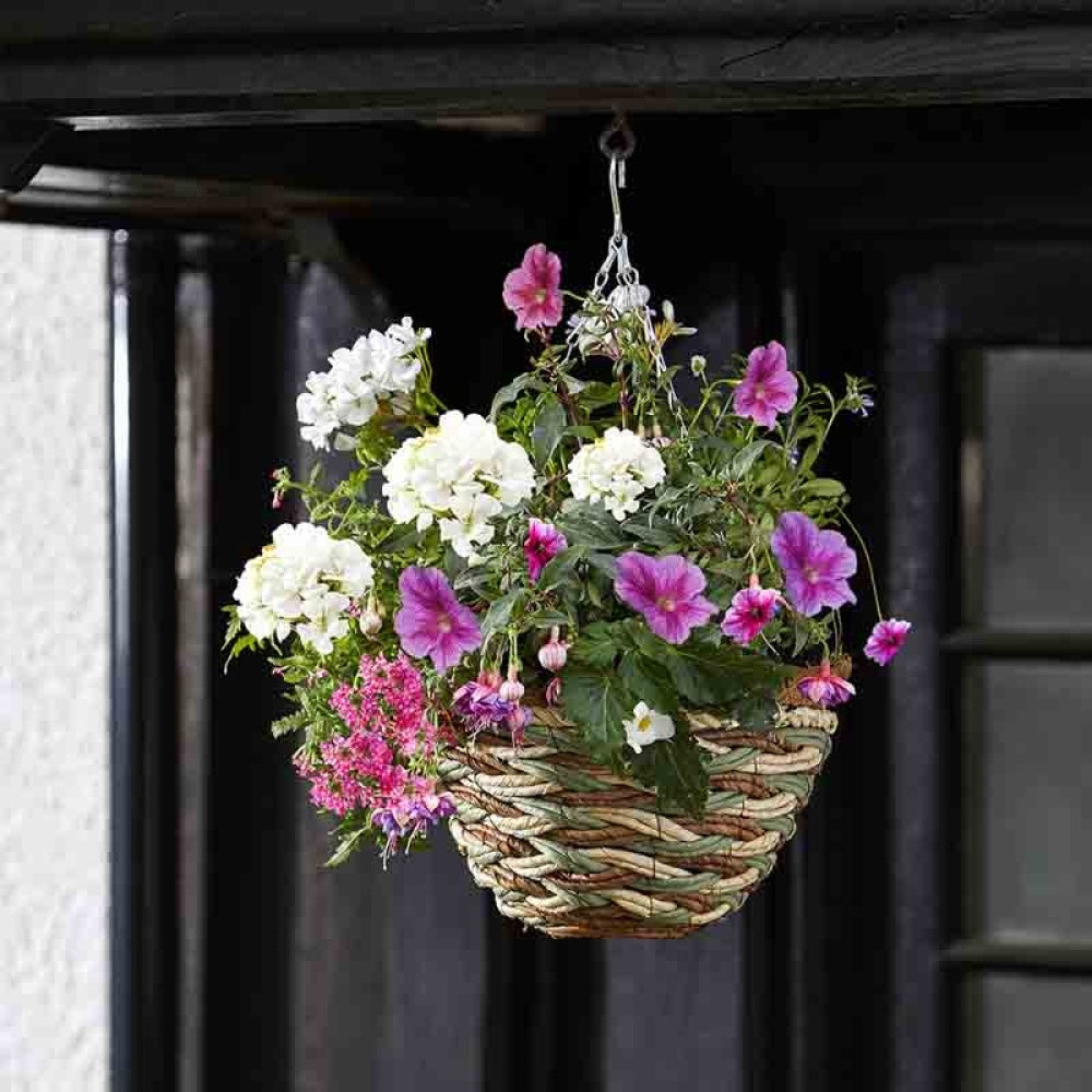 Smart Garden - 12in Trinity Hanging Basket