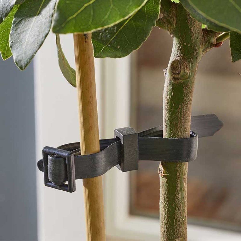 Useful - Buckle Rose & Shrub Ties 4pk