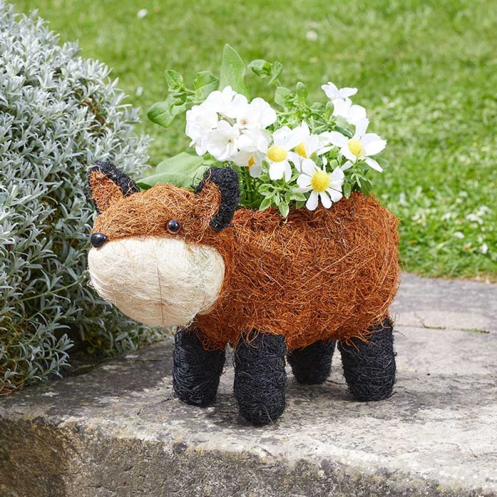 Flamboya - Foxy Planter