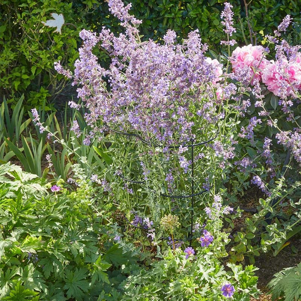 Smart Garden - Gro-Links 20cm x 50cm