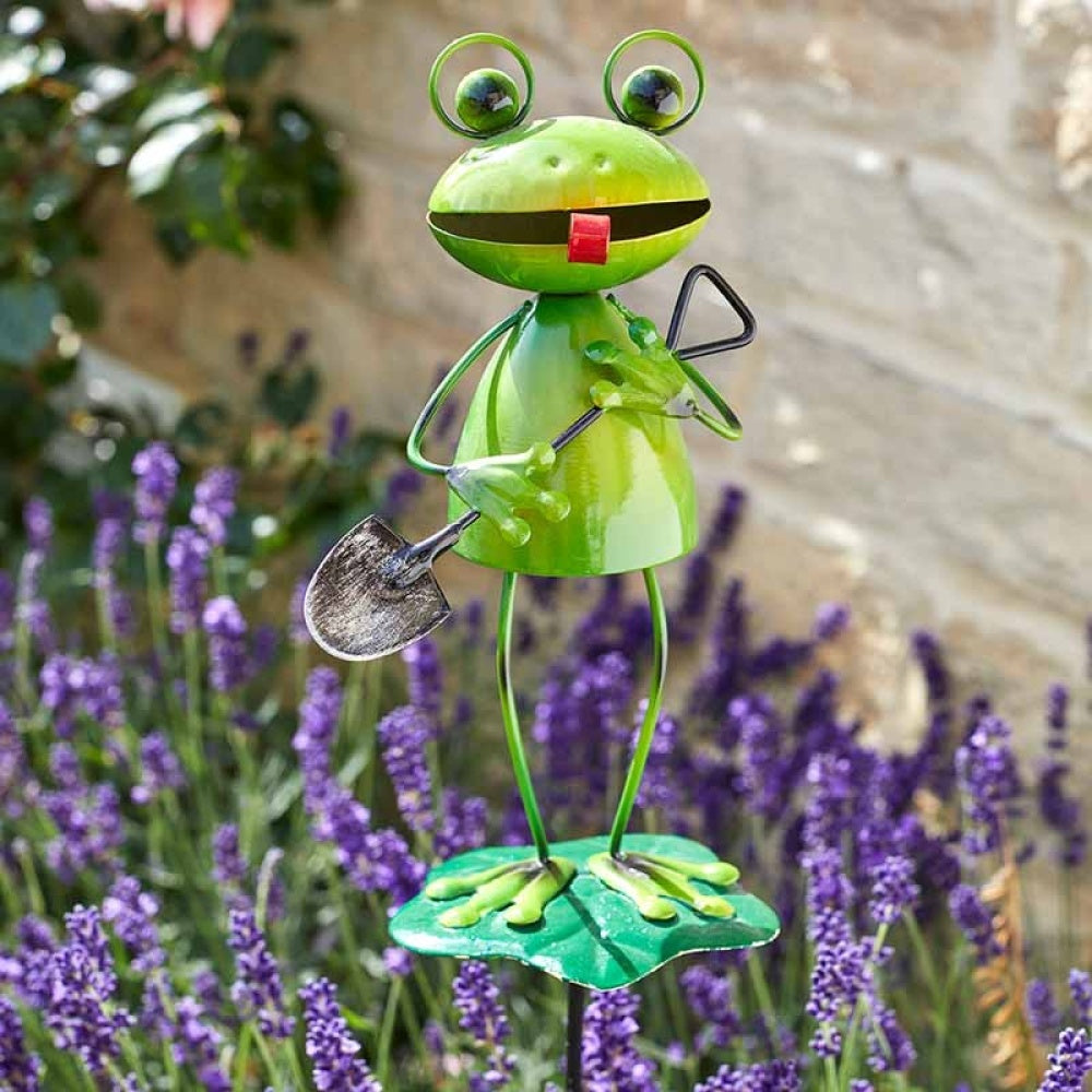 Flamboya - Barmy Frog Stakes
