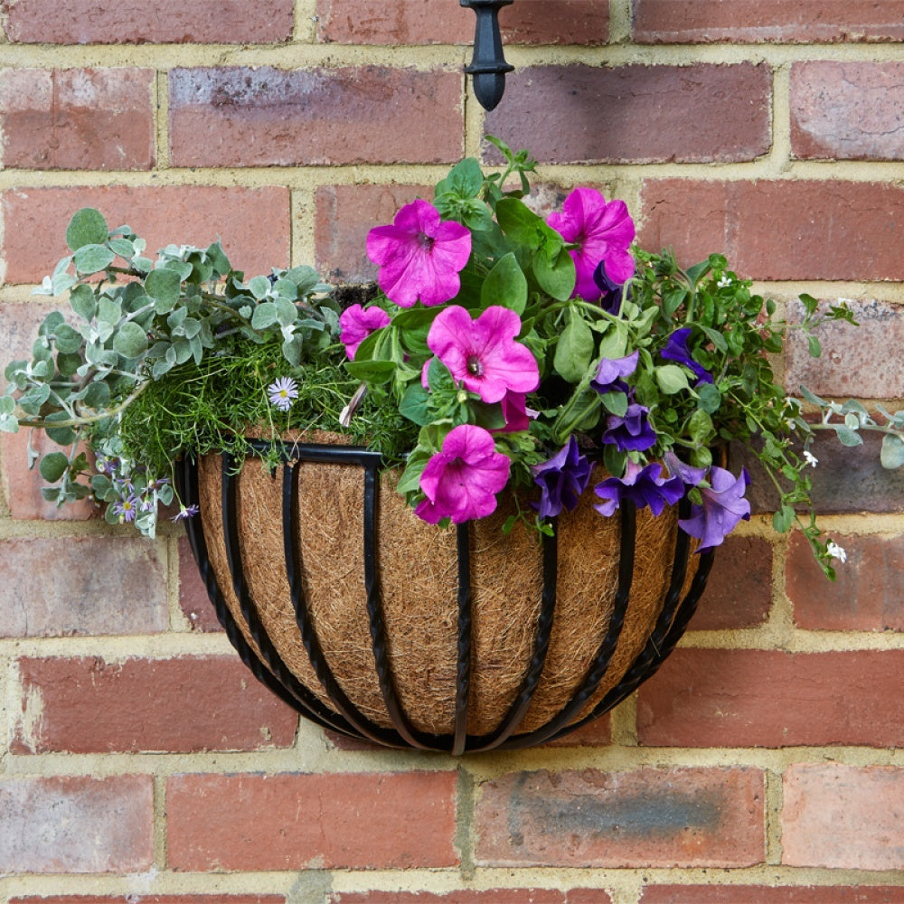 Smart Garden - 16in Forge Wall Basket