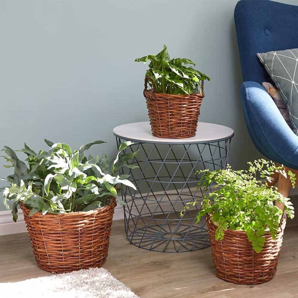 Smart Garden - Décor Baskets - Trio