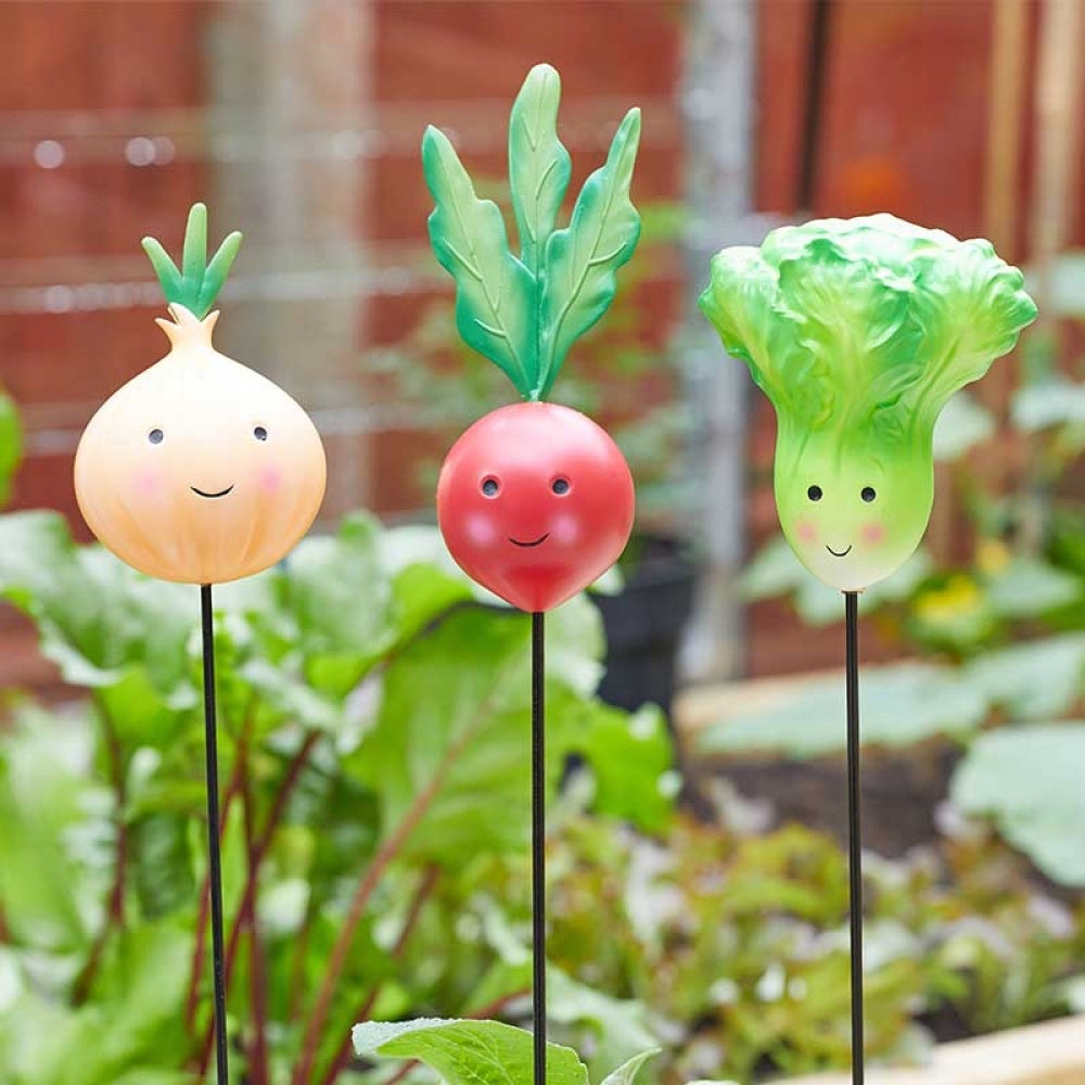 Flamboya - Veggies - Lettuce, Onion, Radish Loony Stakes