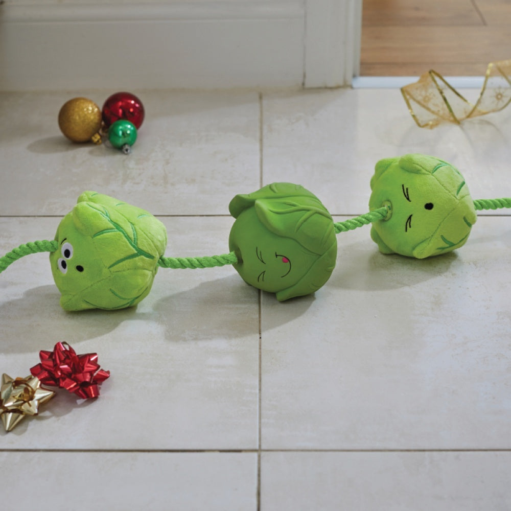 Zoon - Tugga Sprouts