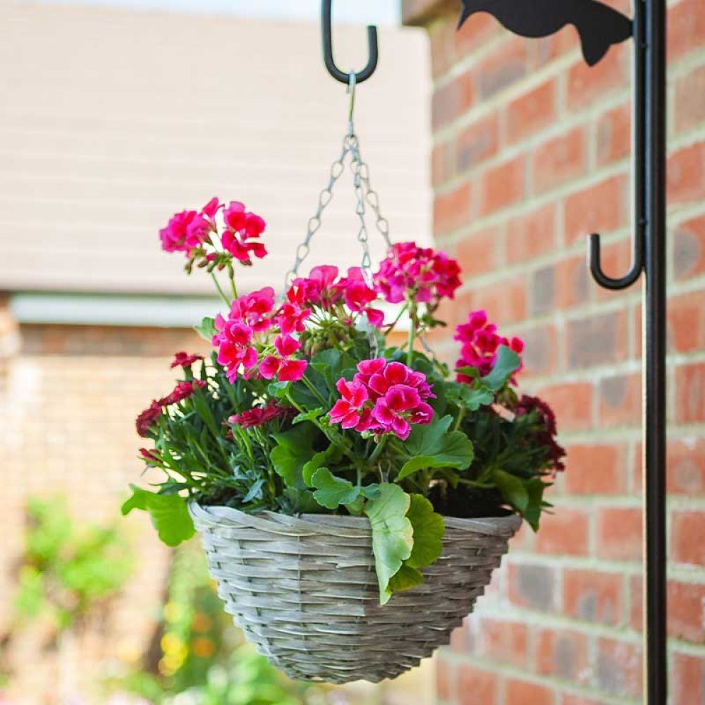 Smart Garden - 14in Sable Willow Basket
