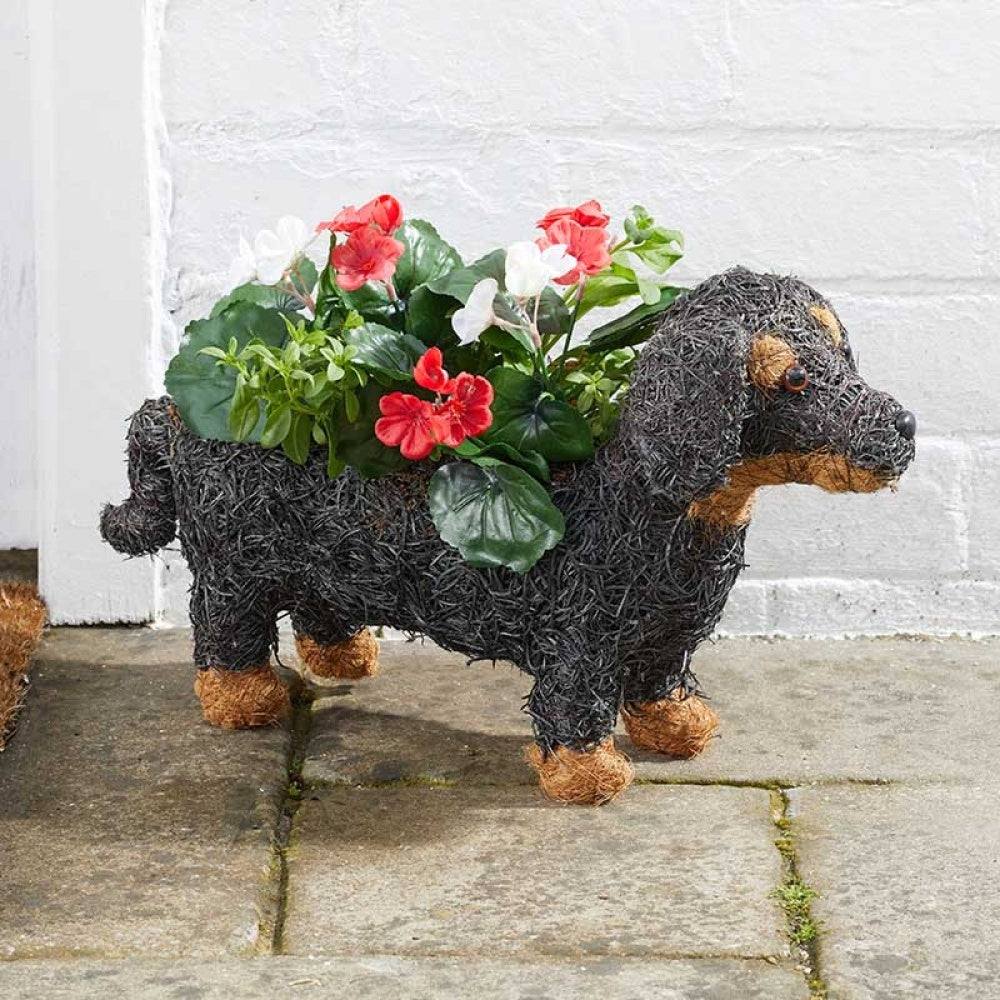 Flamboya - Sausage Dog Planter