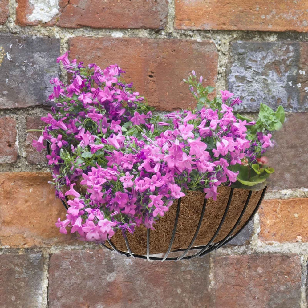 Smart Garden - 16in Smart Wall Basket, POS 20