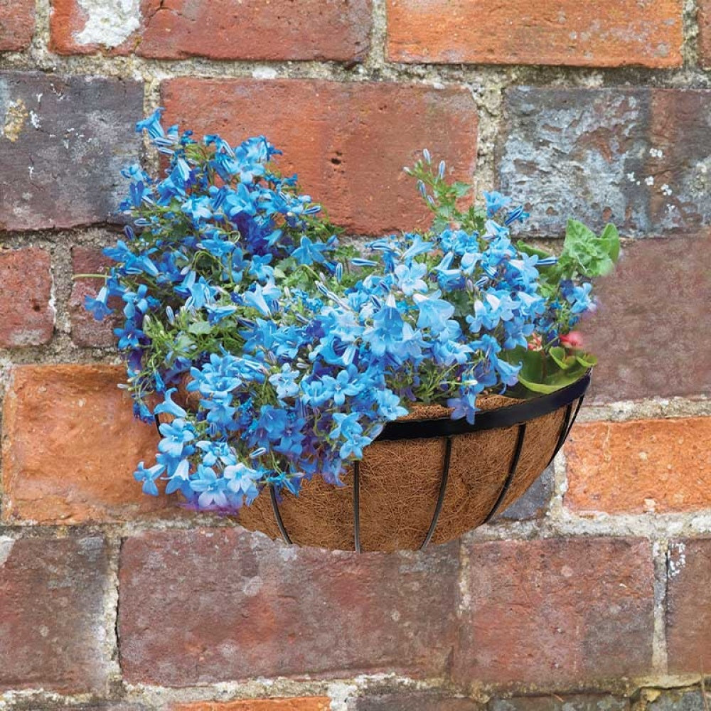 Smart Garden - 16in Saxon Wall Manger
