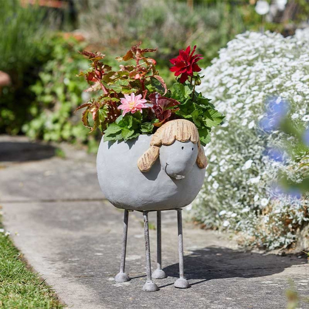 Flamboya - Woodstone Sheep Planter