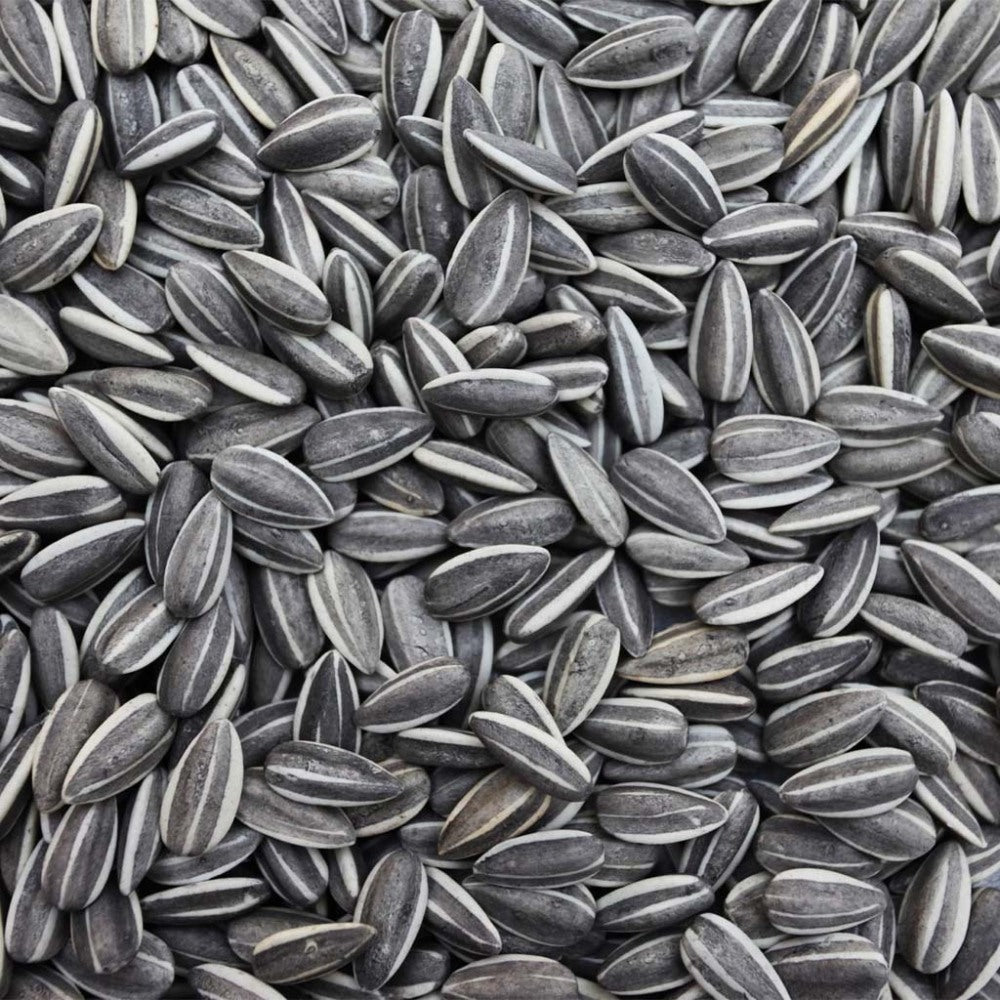 Bucktons Med Stripe Sunflowers 12.75Kg