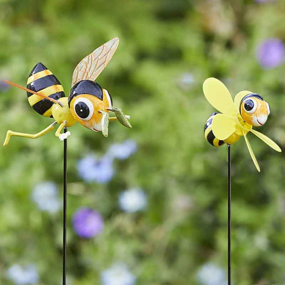 Flamboya - Bee Loony Stakes