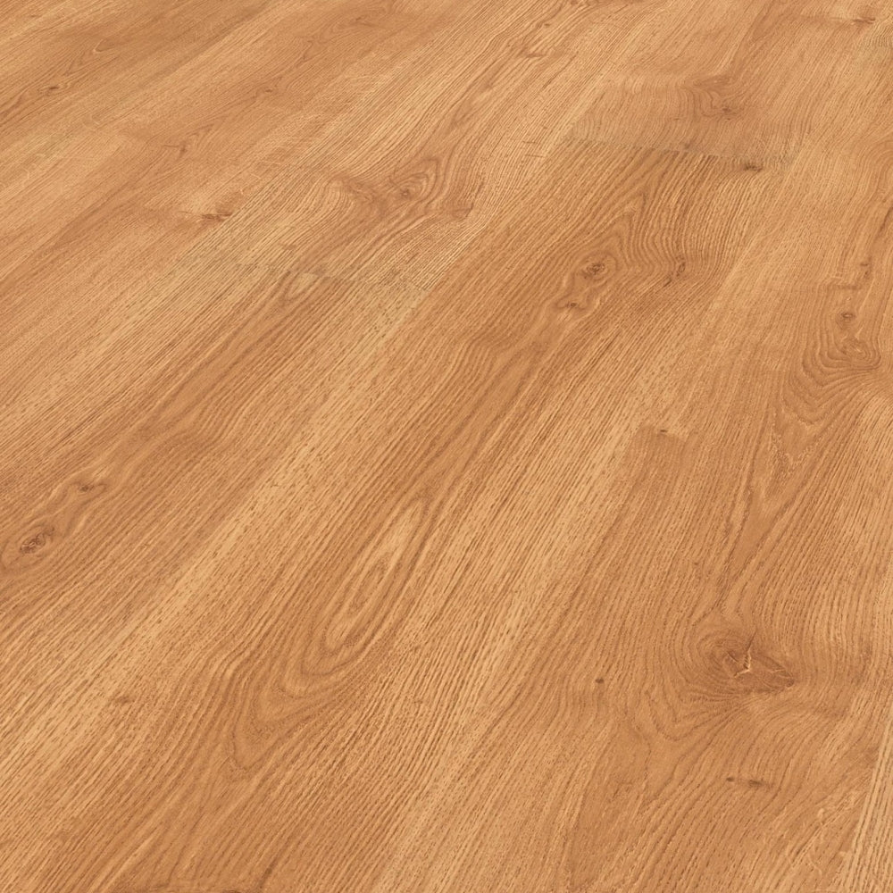 Ghent Oak 12mm