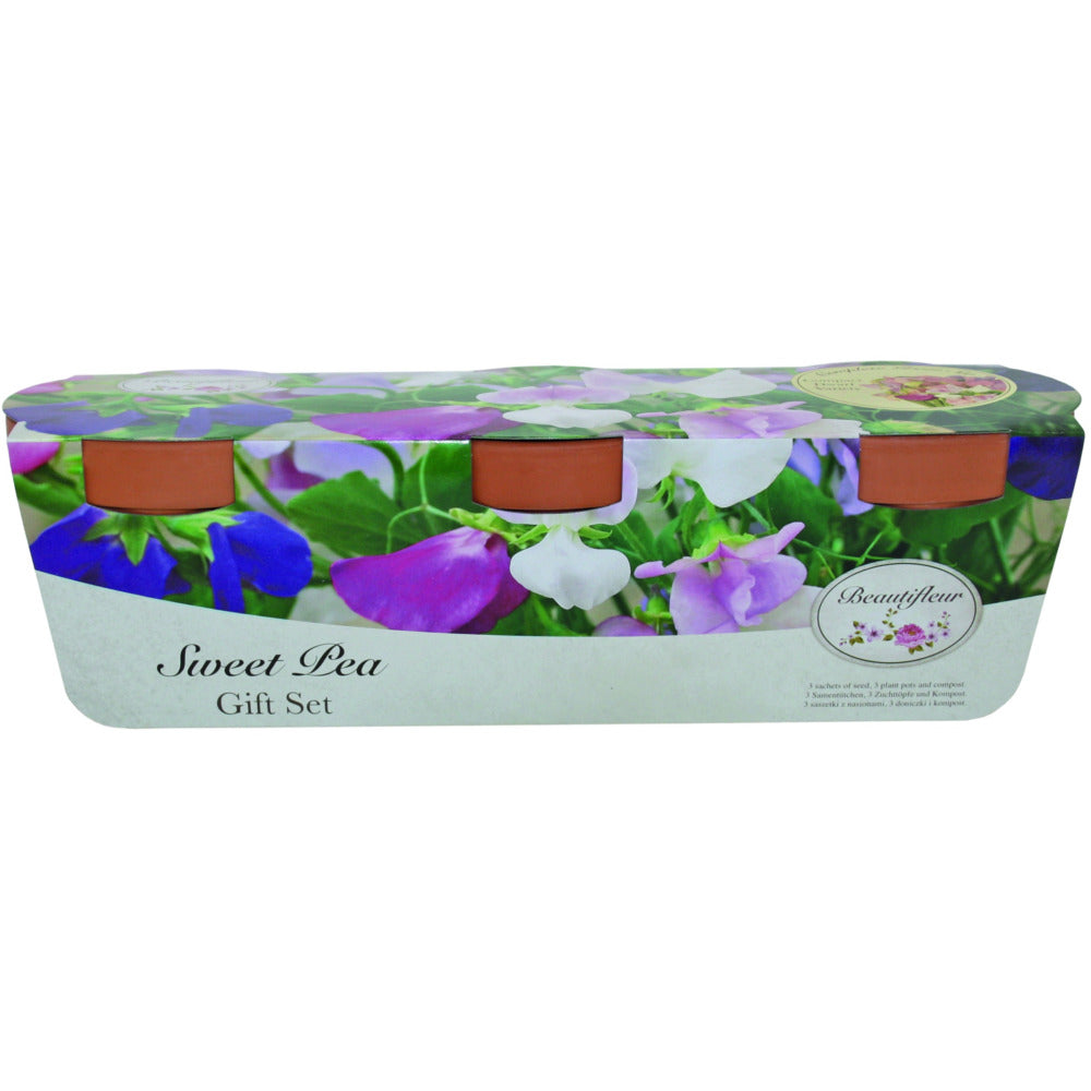 Sweet Pea Trio Terracotta Grow Set