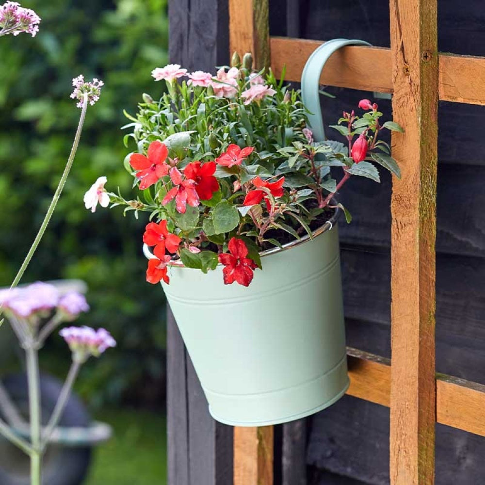 Smart Garden - 6in Fence & Balcony Hanging Pot - Sage