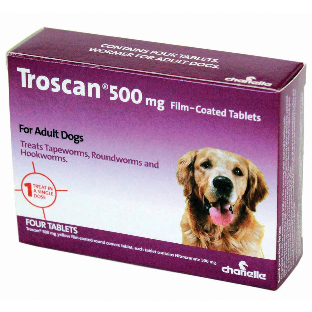 Chanelle - Troscan 500mg 4's Pre-Pack (Ire)