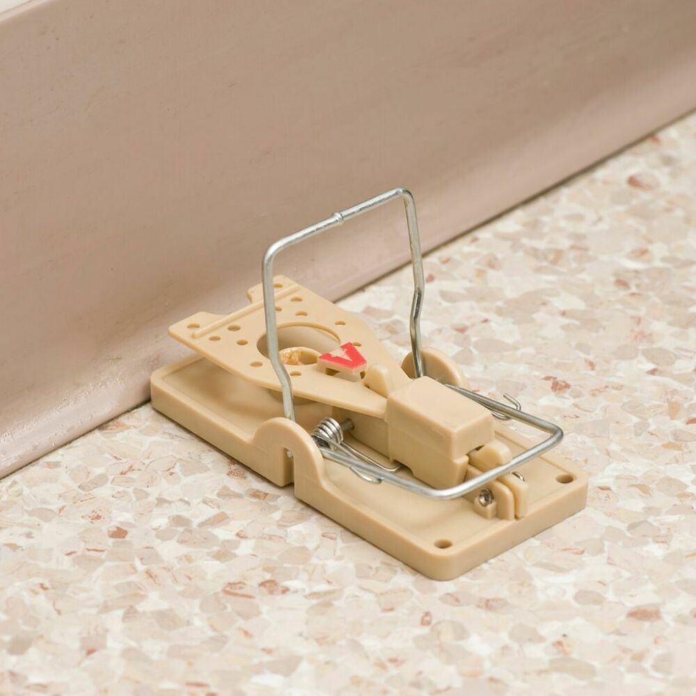 Deadfast Power Kill Mouse Trap Twin