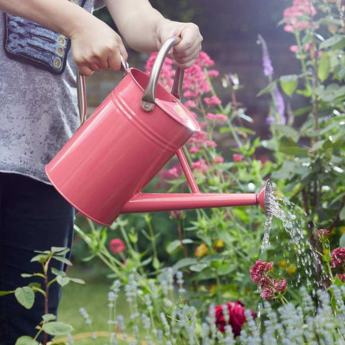 GroZone - Watering Can 4.5L, Coral Pink