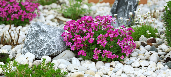 A Guide to Decorative Stone for Gardens