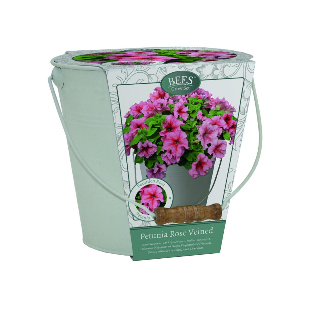Petunia Gift Bucket Grow Set