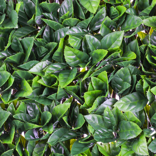 Artificial Gardenia Leaf Trellis - 100cm x 200cm