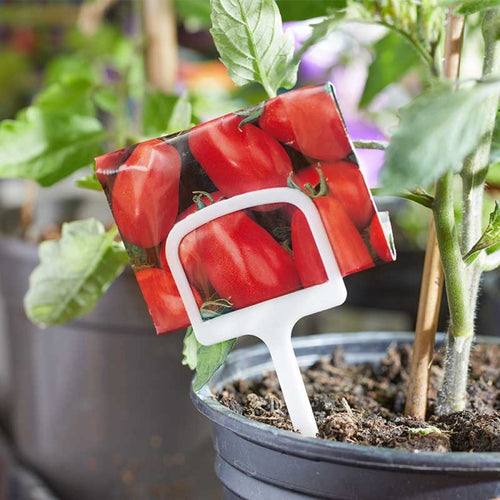 Useful - 12.5cm T Labels 10pk