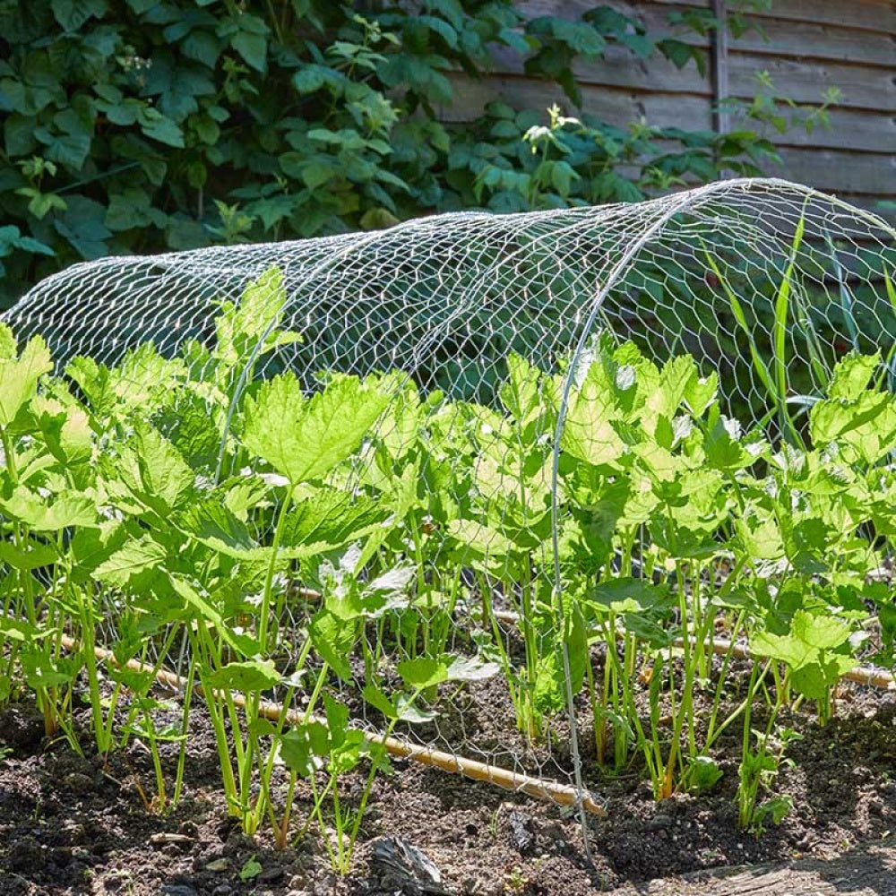 Smart Garden - Galvanised Wire Netting, 25mm, 1x5m