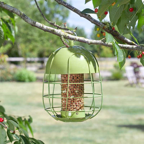 ChapelWood - Acorn Squirrel Proof Peanut Feeder