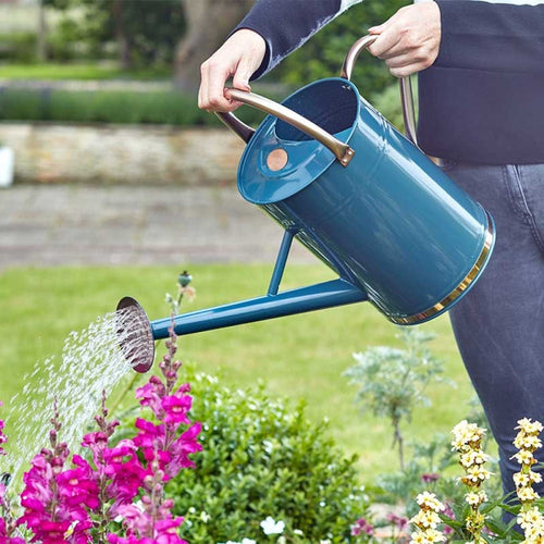 GroZone - Watering Can 9L, Blue