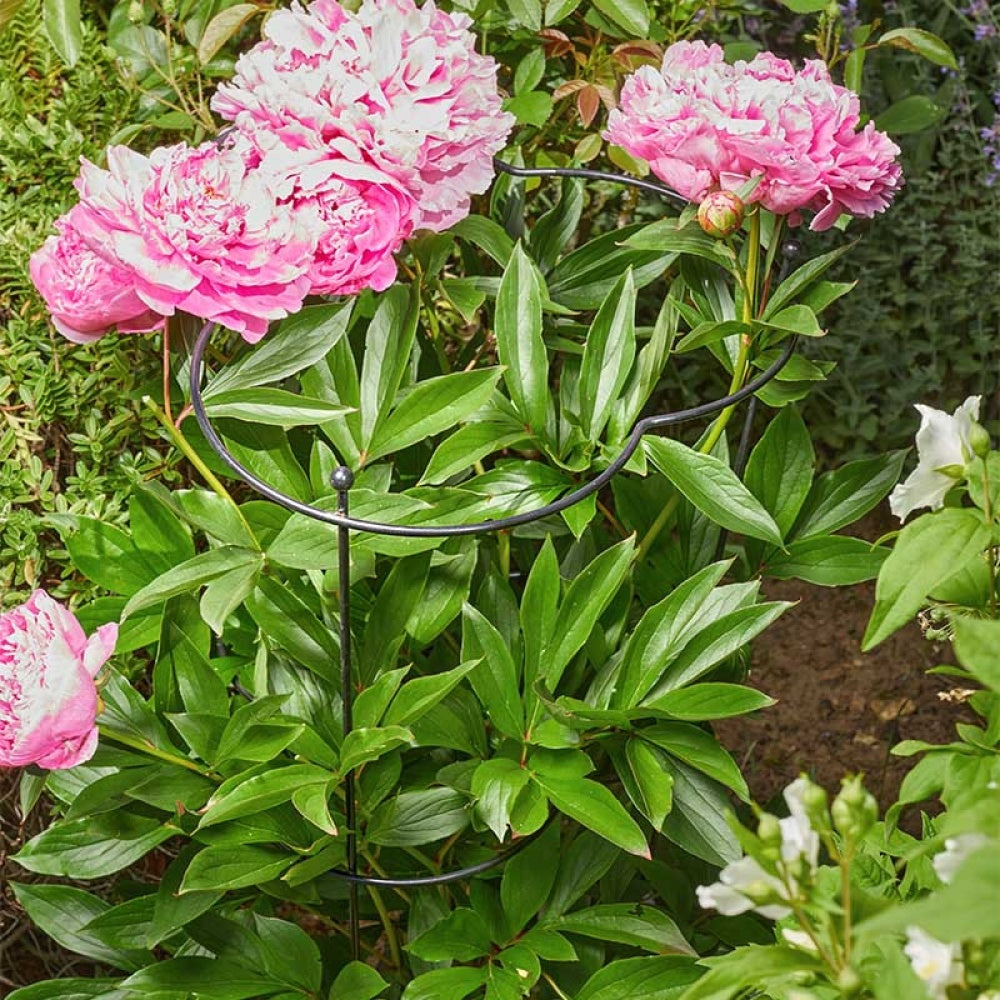 Smart Garden - Gro-Cone 30cm with 75cm Legs