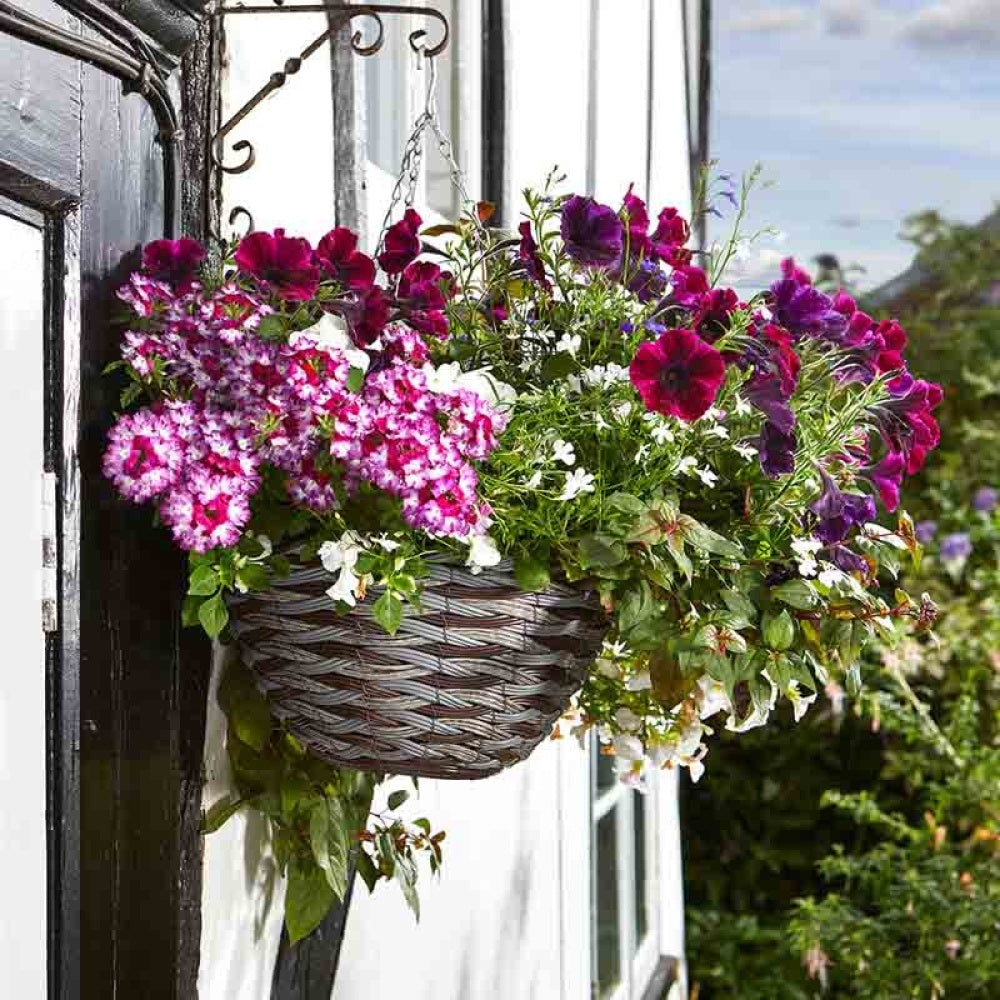 Smart Garden - 14in Pinto Faux Rattan Hanging Basket