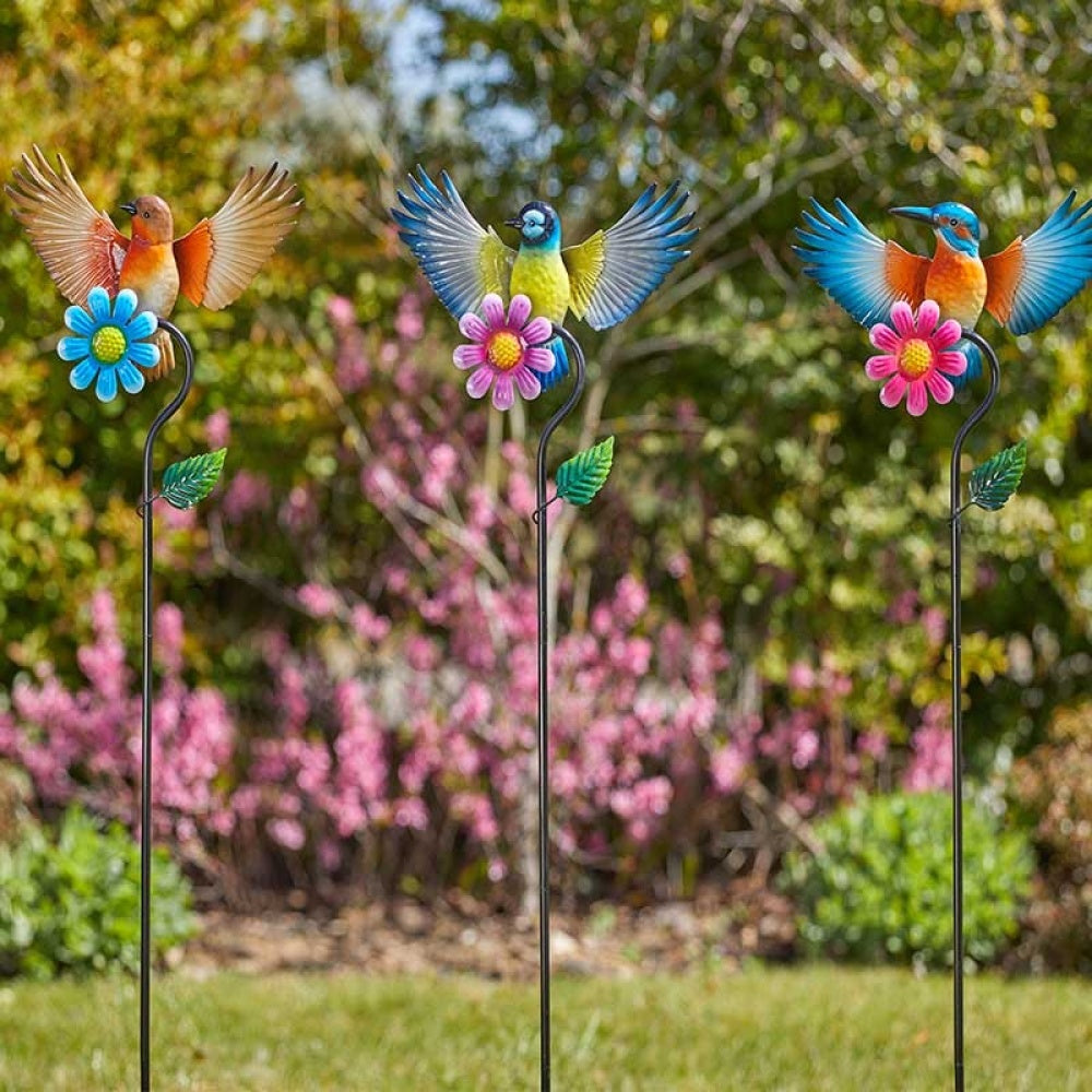 Flamboya - FlowerBirds