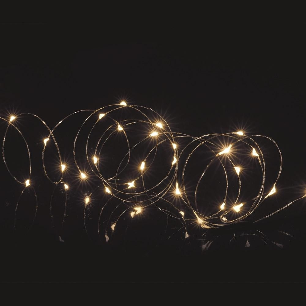 Premier Decorations - 25 LED Microbrights with Timer - Warm White