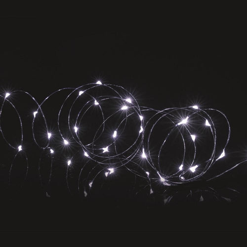 Premier Decorations - 25 LED Microbrights with Timer - White