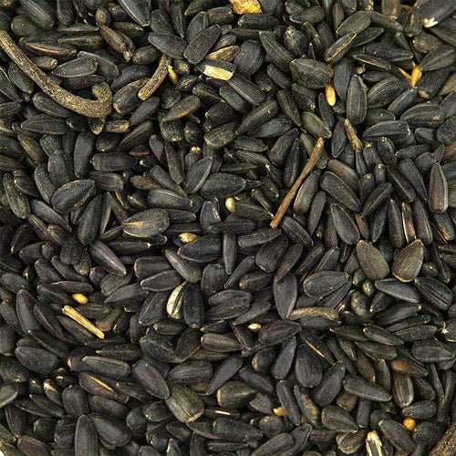 Goldcrop - Black Sunflower 20Kg