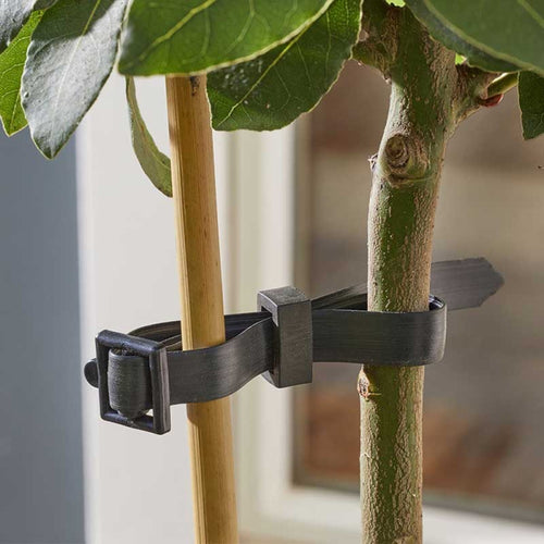 Useful - Buckle Rose & Shrub Ties 4pk