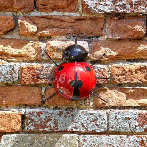 Flamboya - Large Decor Ladybird