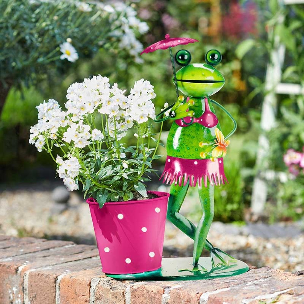 Flamboya - Brolly Frog Pot-Pet