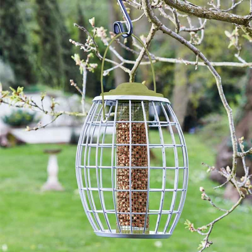 ChapelWood - Ultra Squirrel Proof Peanut Feeder