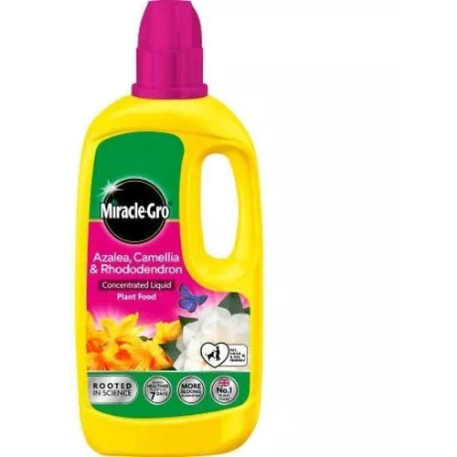 Miracle-Gro Azalea, camellia & rhododendron liquid plant food 800ml