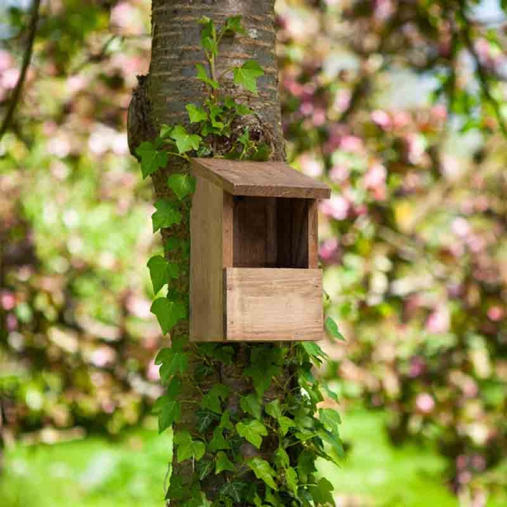 ChapelWood - Robin Nest Box Classic, FSC 1