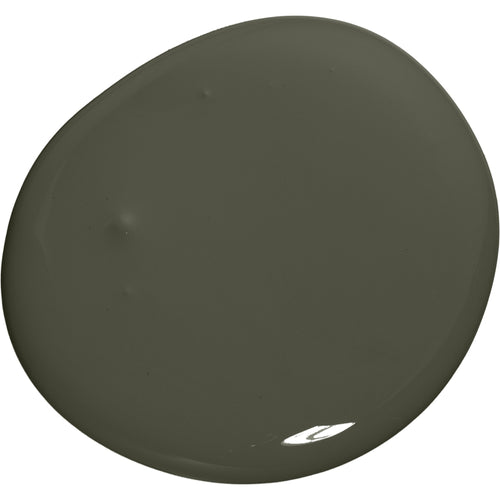 Colourtrend Ceramic Matt 3L Natterjack