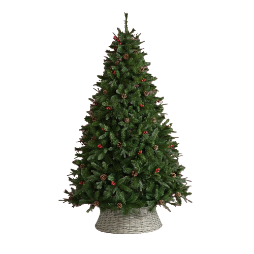 Ben Nevis Pine Tree - 7ft