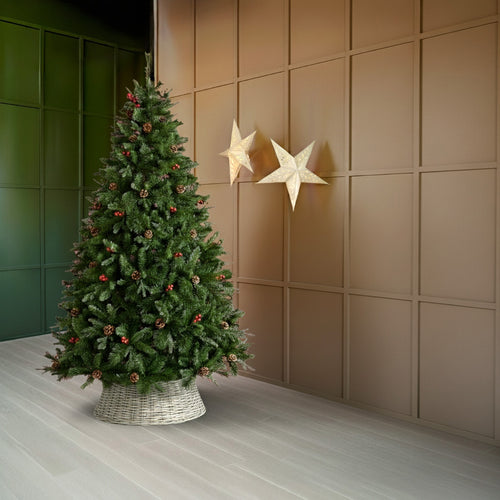 Ben Nevis Pine Tree - 7ft