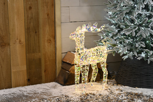 Lit Star Shimmer Reindeer - 60cm